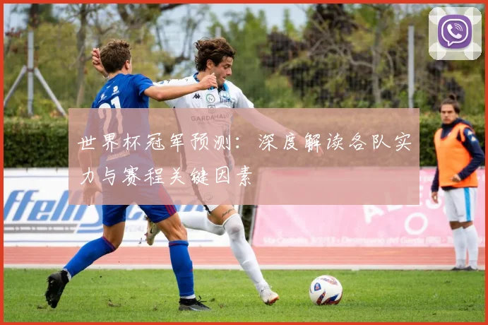 世界杯冠军预测：深度解读各队实力与赛程关键因素