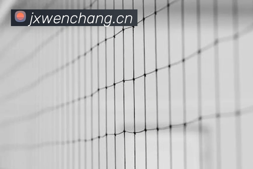 九游j9官方平台APP 体育赛事宣传图